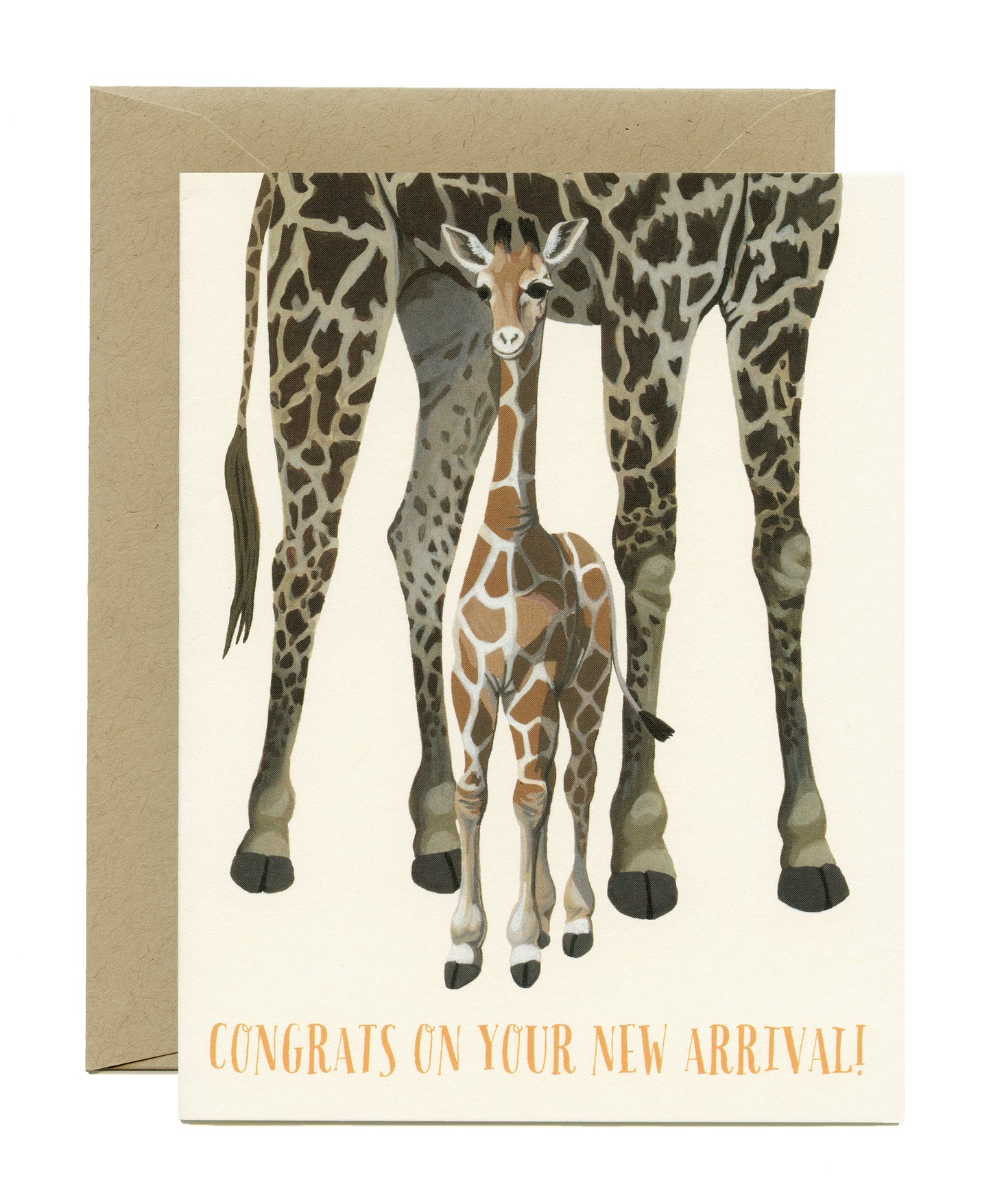 BABY GIRAFFE NEW ARRIVAL