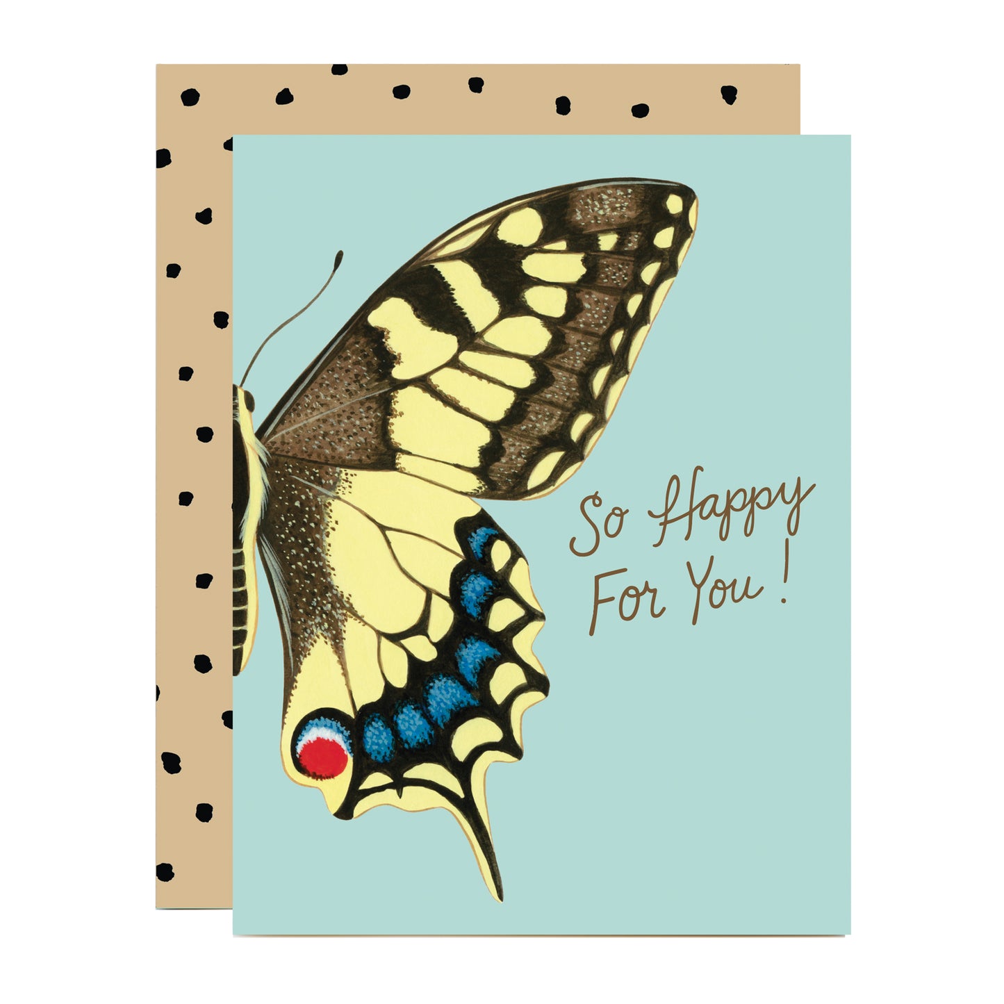 SWALLOWTAIL BUTTERFLY - CONGRATULATIONS GREETING CARD