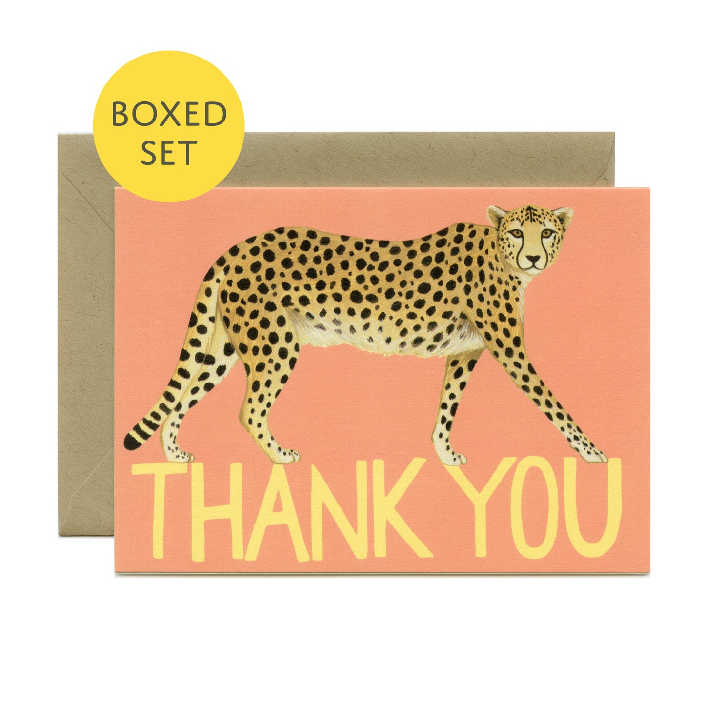 CHEETAH - THANK YOU GREETING CARDS, BOXED SET OF 8