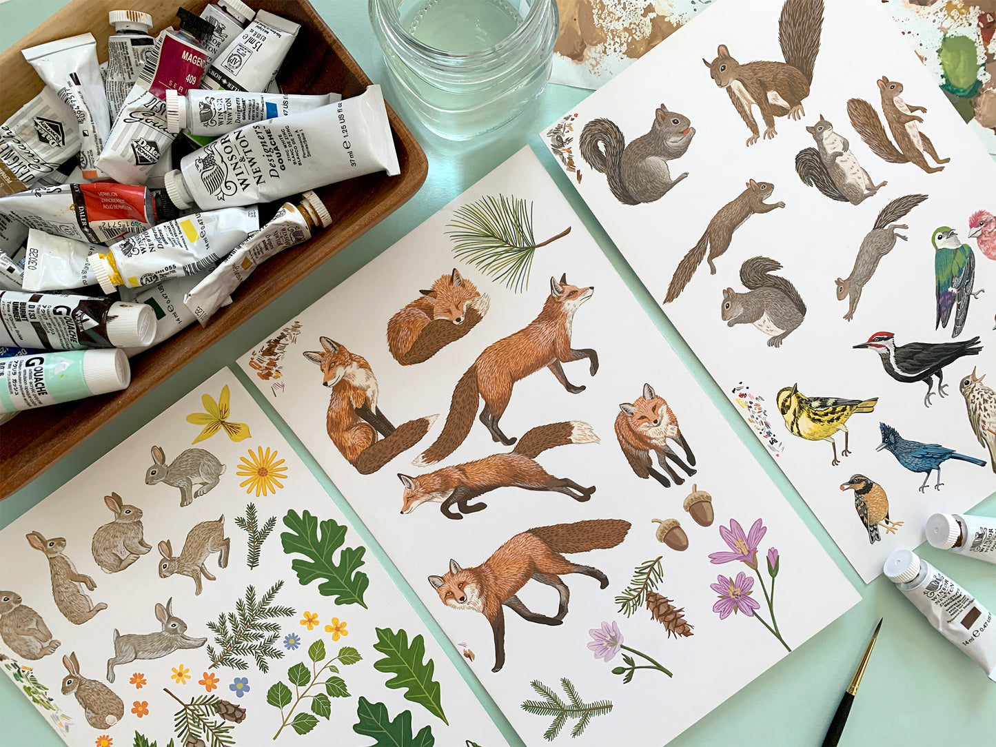 FOREST ANIMALS - BLANK GREETING CARDS, VARIETY BOXED SET OF 8