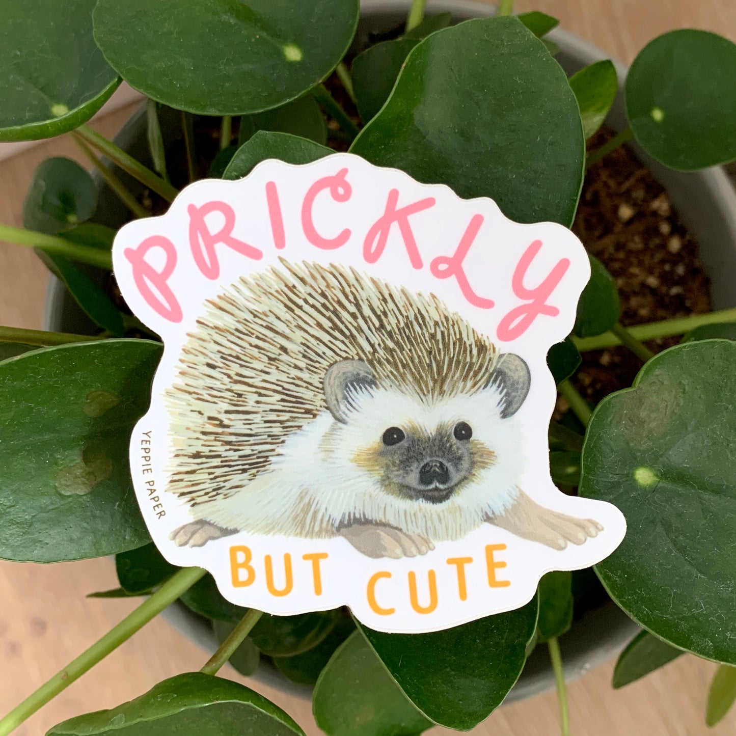 PRICKLY HEDGEHOG - DIE CUT STICKER