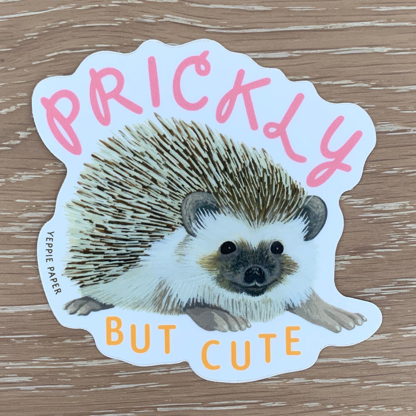 PRICKLY HEDGEHOG - DIE CUT STICKER