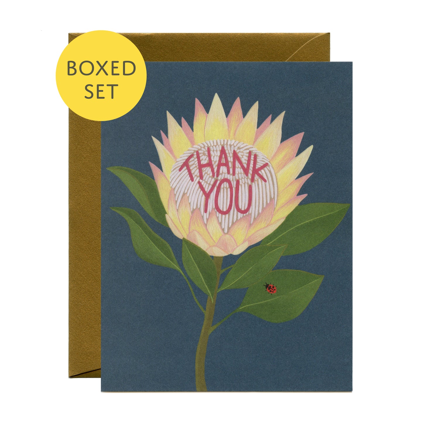 PROTEA FLOWER AND LADYBUG - THANK YOU GREETING CARDS, BOXED SET OF 8