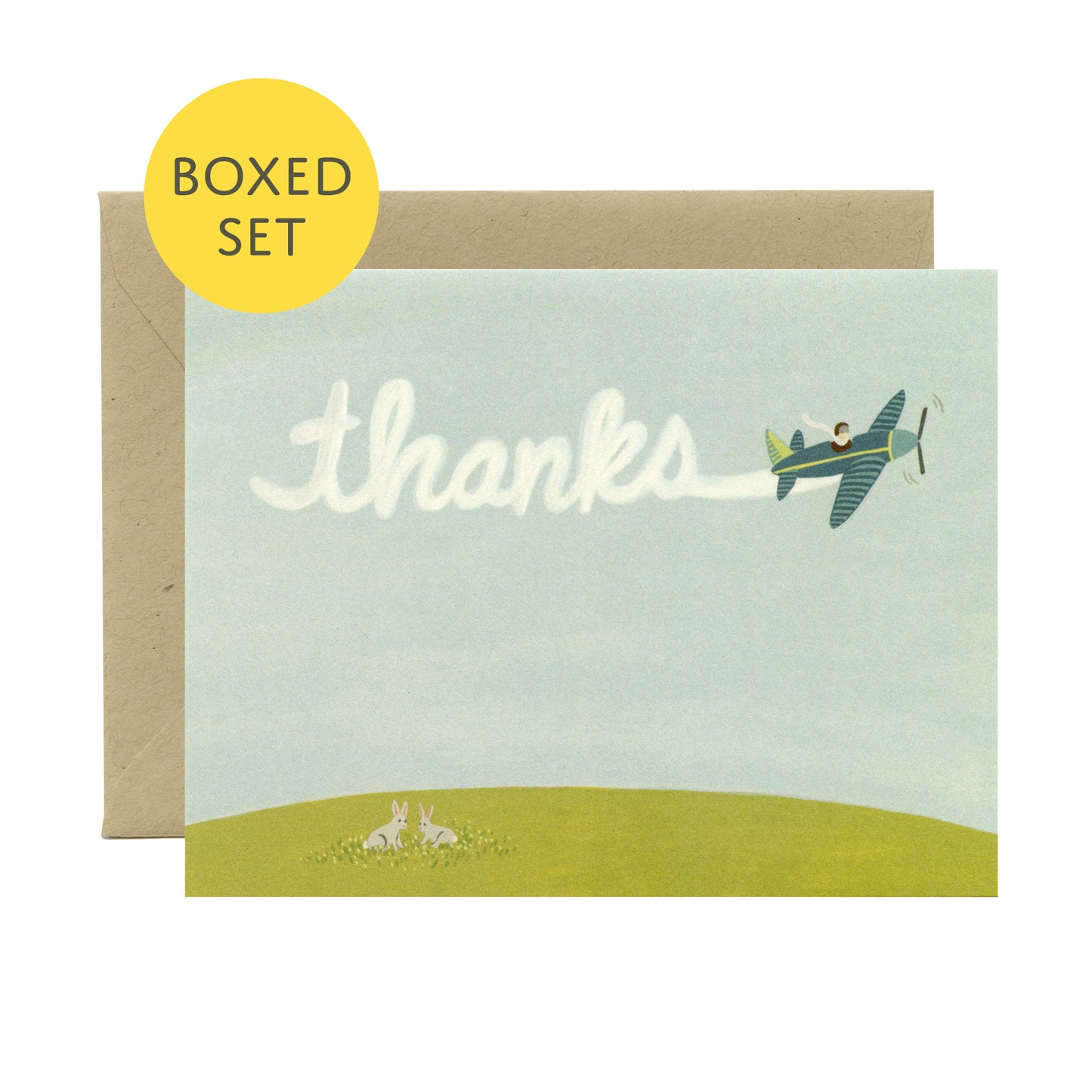SKYWRITING AIRPLANE - THANK YOU GREETING CARDS, BOXED SET OF 8