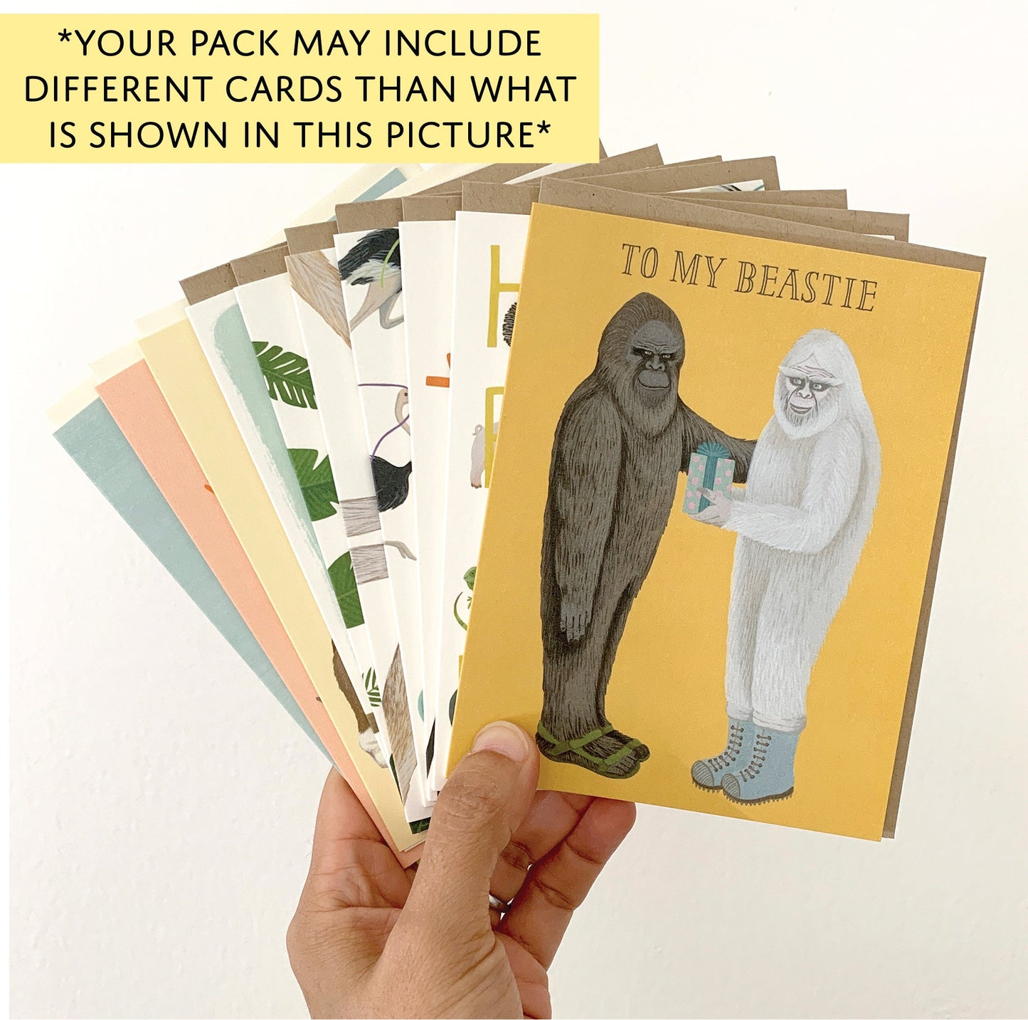 BIRTHDAY SURPRISE PACK OF 10 ASSORTED GREETING CARDS