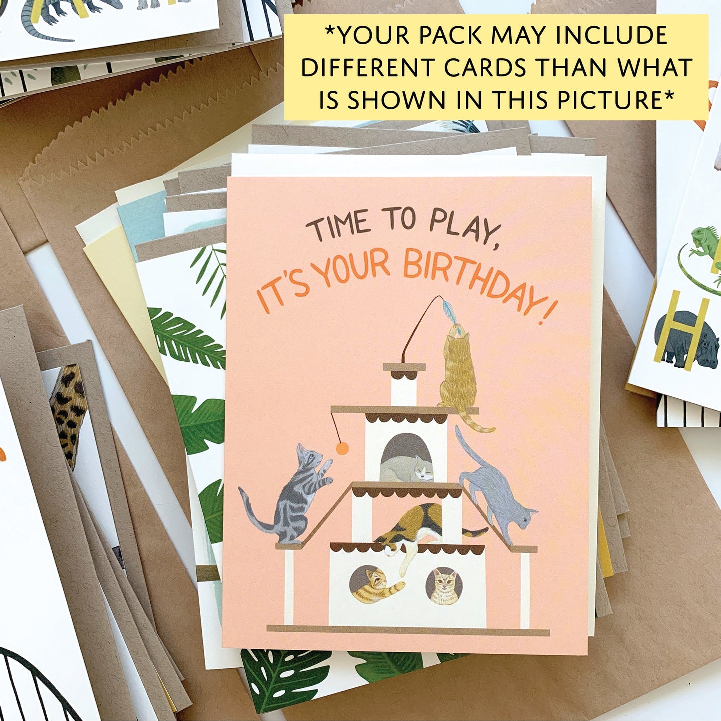 BIRTHDAY SURPRISE PACK OF 10 ASSORTED GREETING CARDS