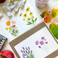 LAVENDER PURPLE FLOWER THANK YOU GREETING CARDS, BOXED SET OF 8