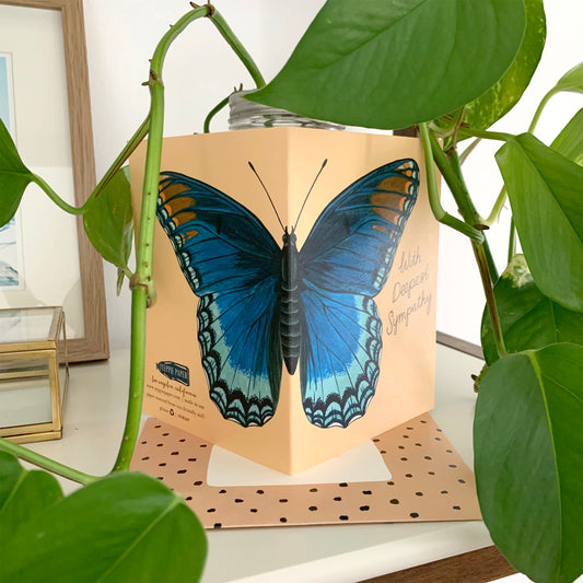 RED-SPOTTED PURPLE BUTTERFLY - SYMPATHY GREETING CARD