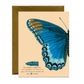 RED-SPOTTED PURPLE BUTTERFLY - SYMPATHY GREETING CARD