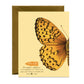 FRITILLARY BUTTERFLY - THANK YOU GREETING CARDS, BOXED SET OF 8