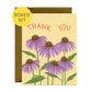 CONEFLOWERS AND CATERPILLAR - THANK YOU GREETING CARDS, BOXED SET OF 8