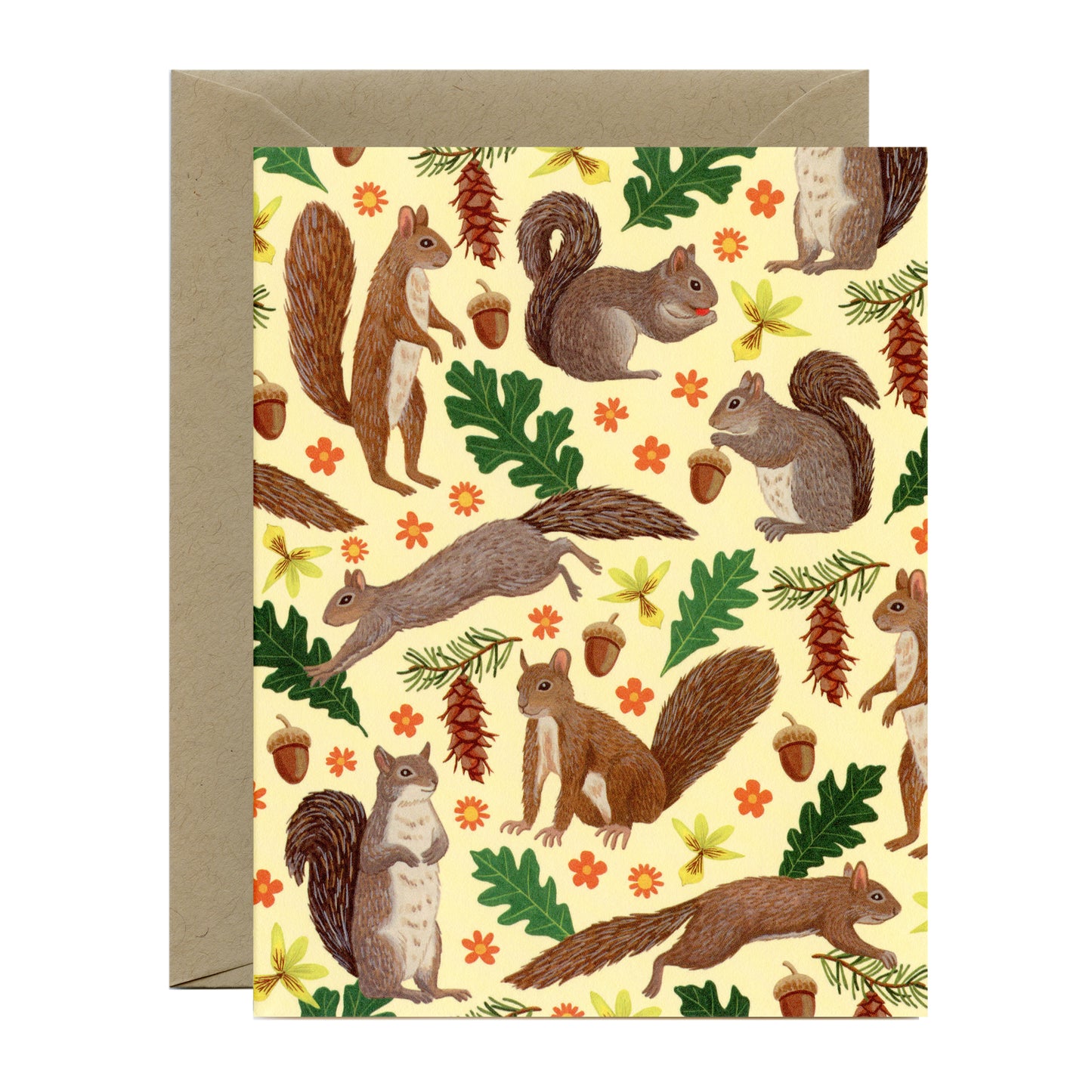 FOREST ANIMALS - BLANK GREETING CARDS, VARIETY BOXED SET OF 8