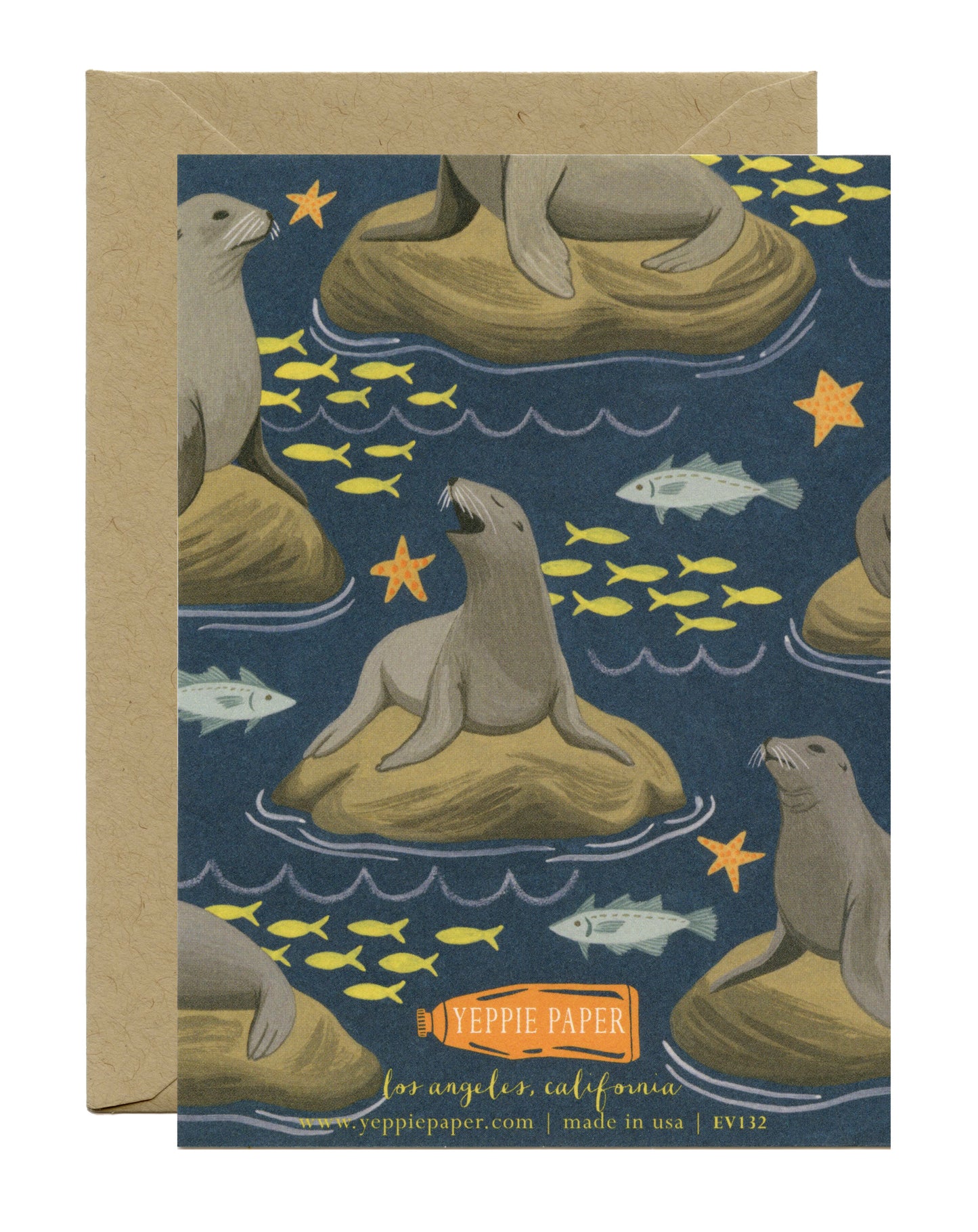 EVERYDAY SEA LIONS AND FISH - BLANK GREETING CARD