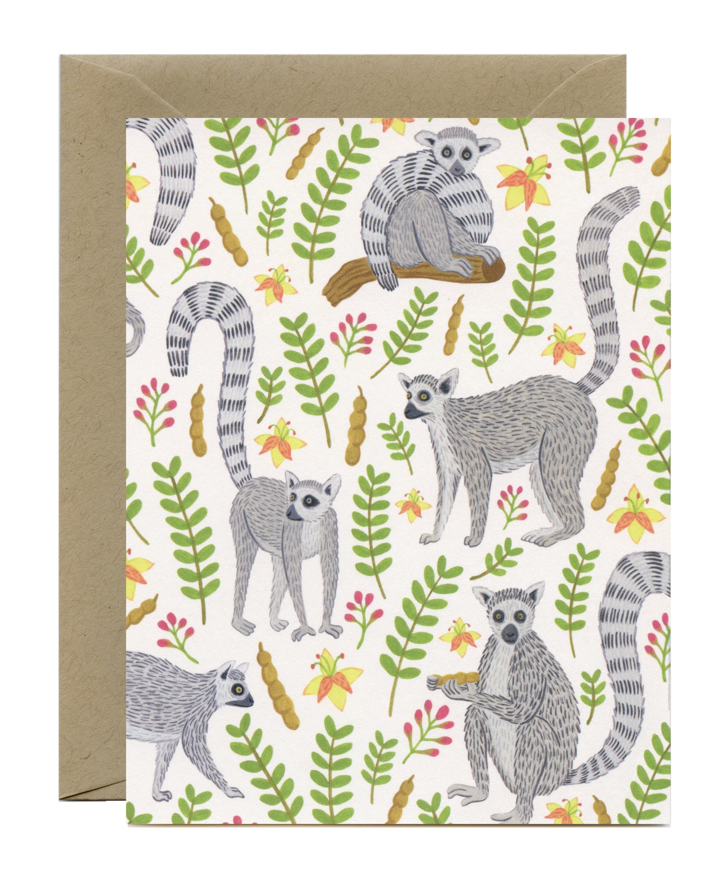 BLACK & WHITE ANIMALS - BLANK GREETING CARDS, VARIETY BOXED SET OF 8