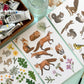 FOREST ANIMALS - BLANK GREETING CARDS, VARIETY BOXED SET OF 8