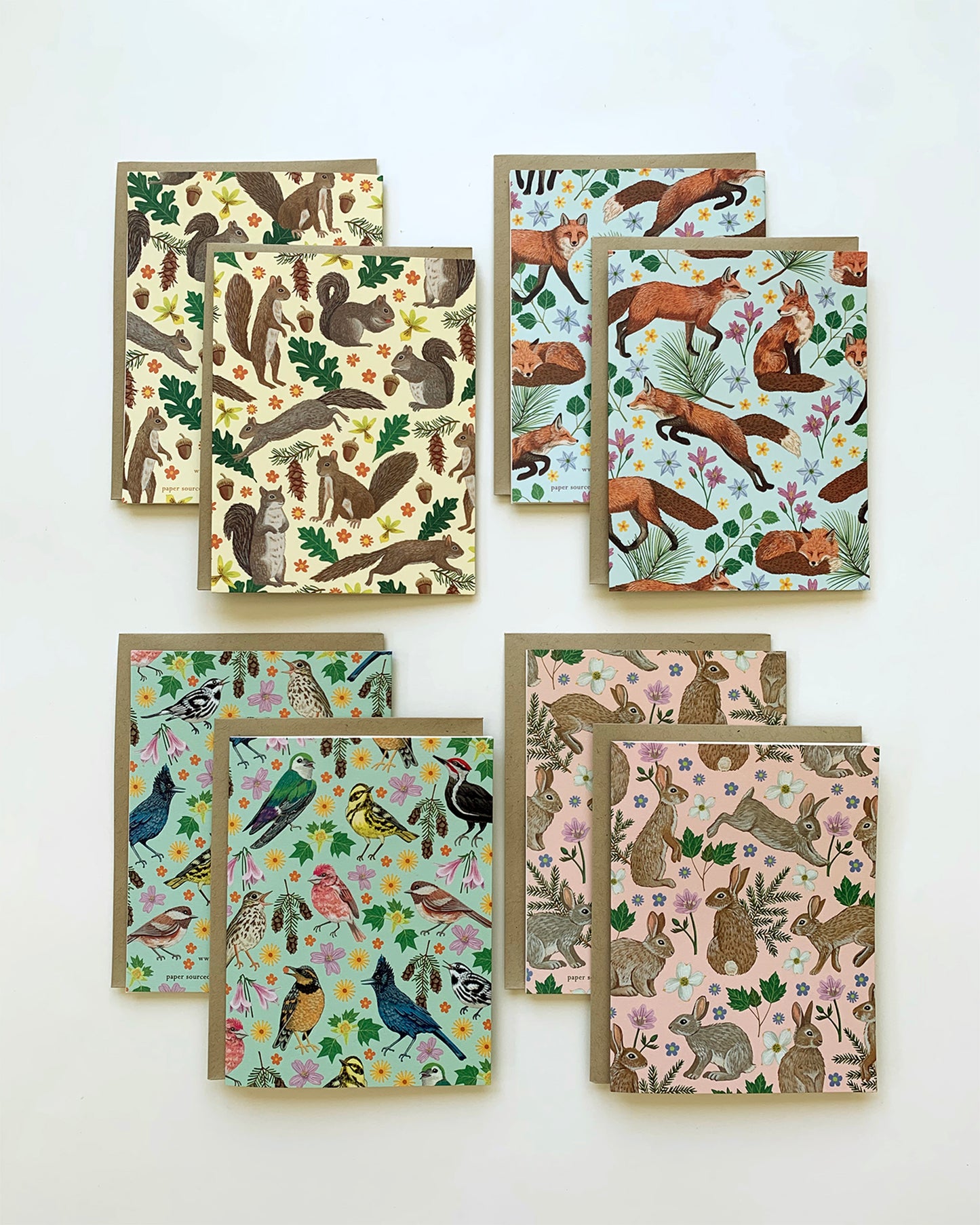 FOREST ANIMALS - BLANK GREETING CARDS, VARIETY BOXED SET OF 8