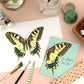SWALLOWTAIL BUTTERFLY - CONGRATULATIONS GREETING CARD