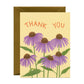 CONEFLOWERS AND CATERPILLAR - THANK YOU GREETING CARDS, BOXED SET OF 8