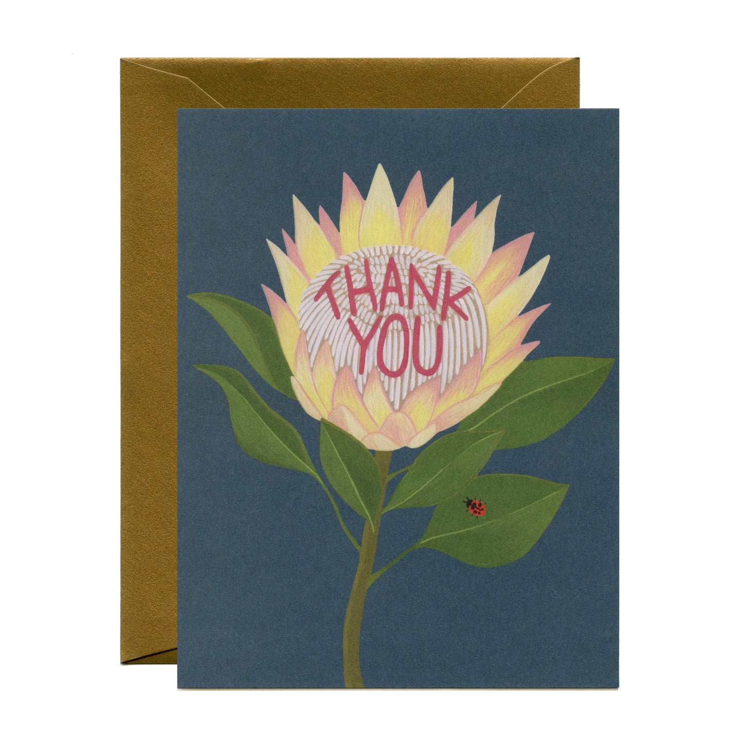 PROTEA FLOWER AND LADYBUG - THANK YOU GREETING CARDS, BOXED SET OF 8
